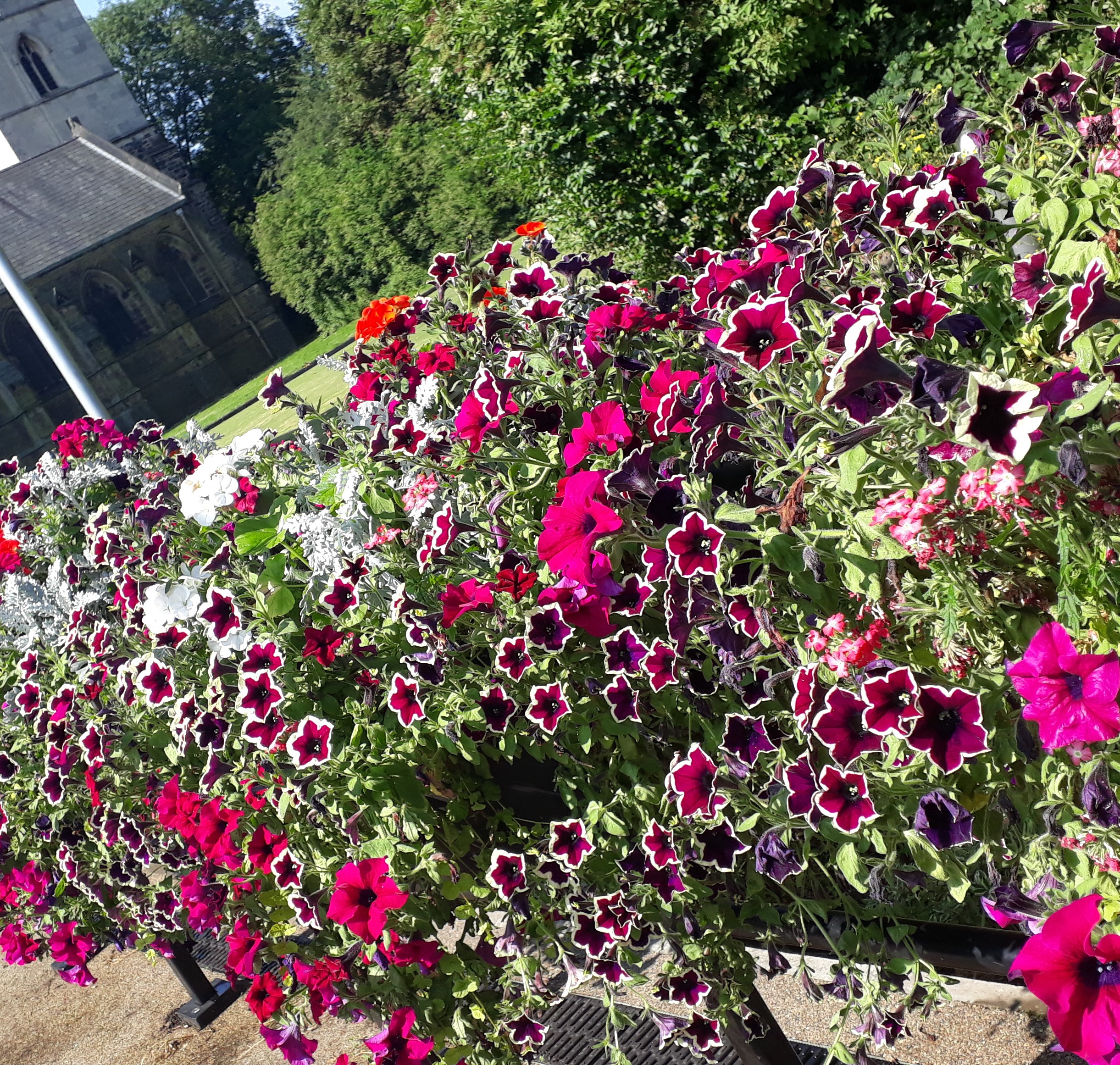 floral 2square